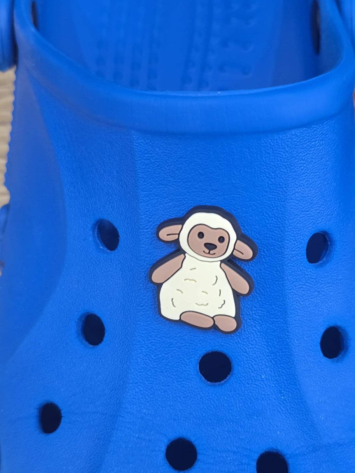 Jelly Croc Charms, Shoe Decorations, Shoe Charms