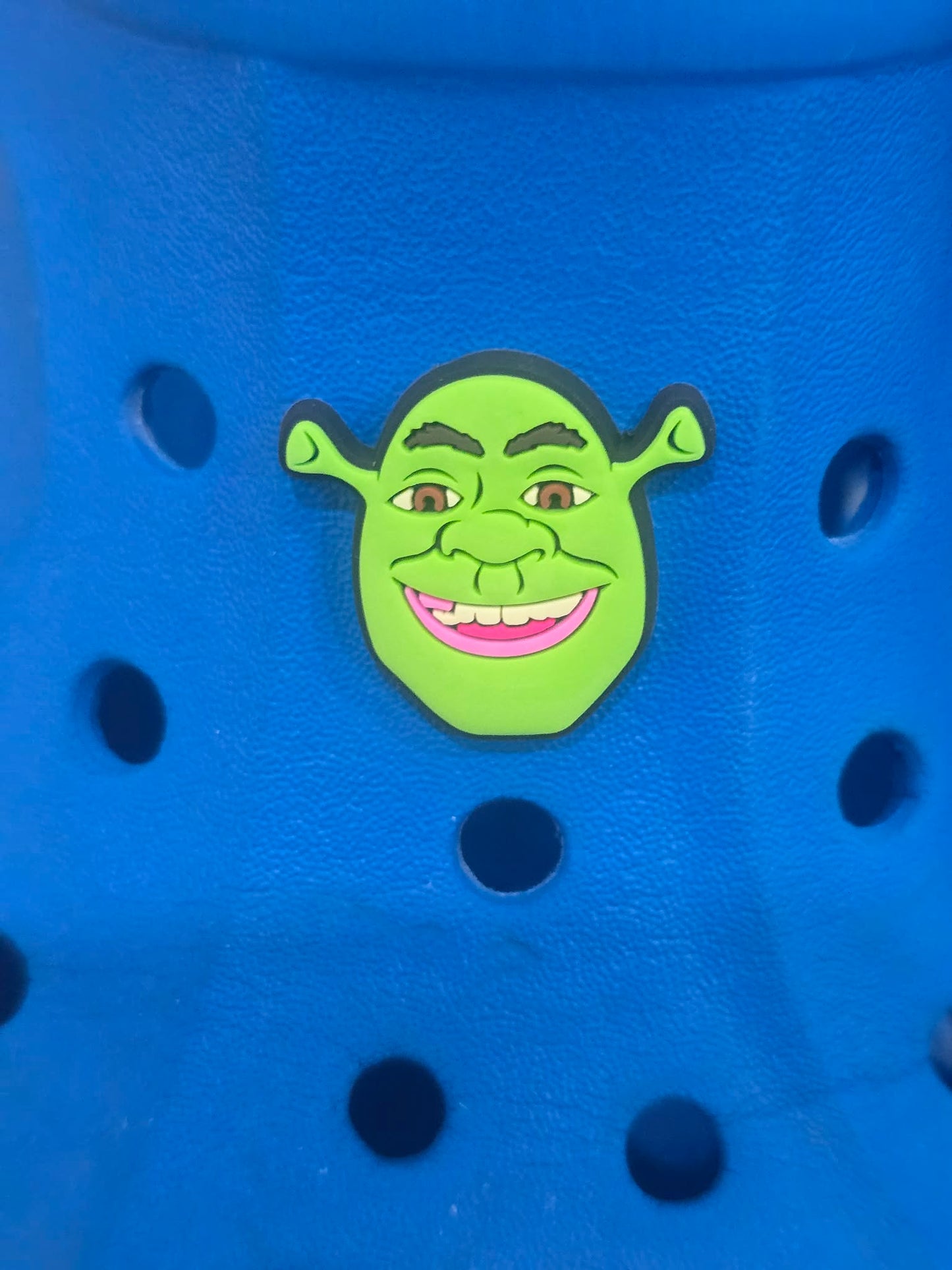 Shrek Themed Croc Charms
