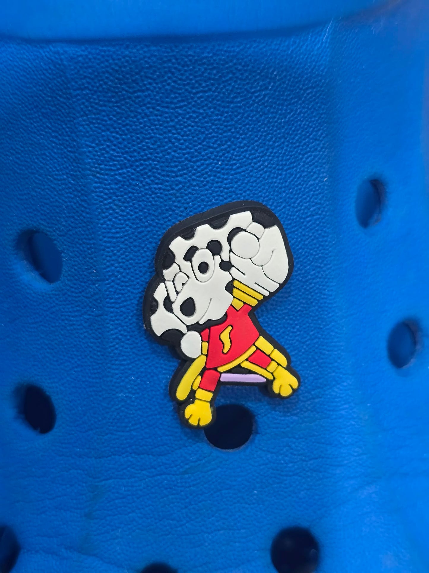 Bluey and Friends Charms