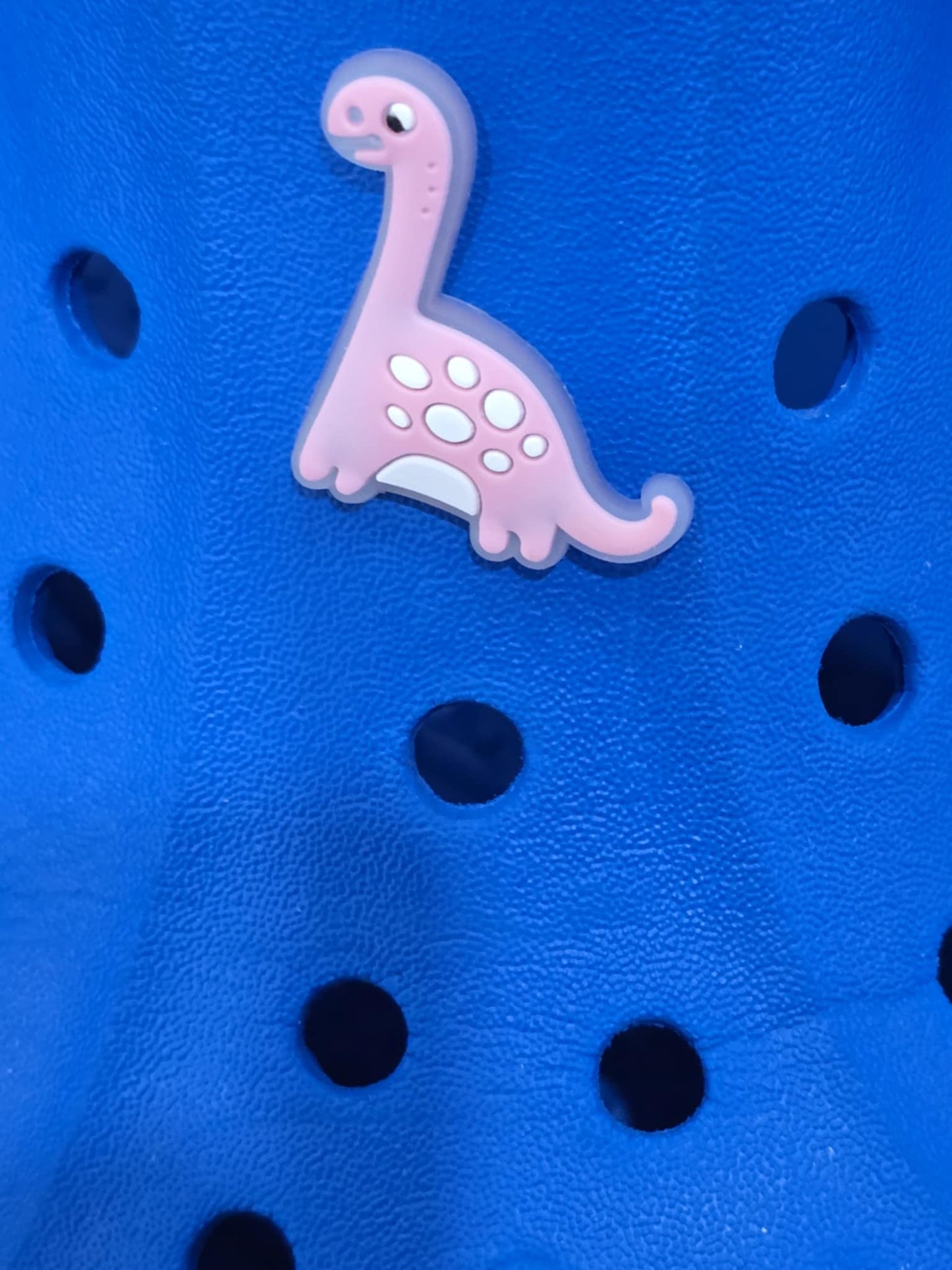 Dinosaurs Charms