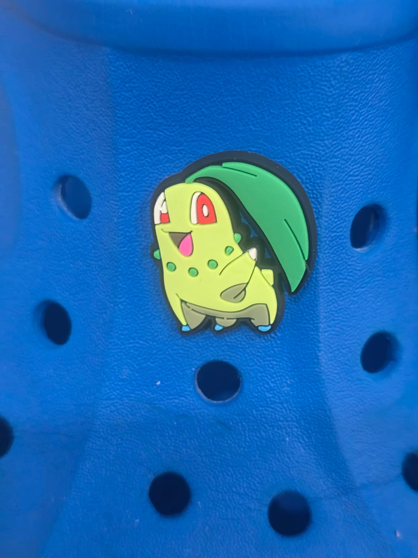 Pokémon Croc Charms