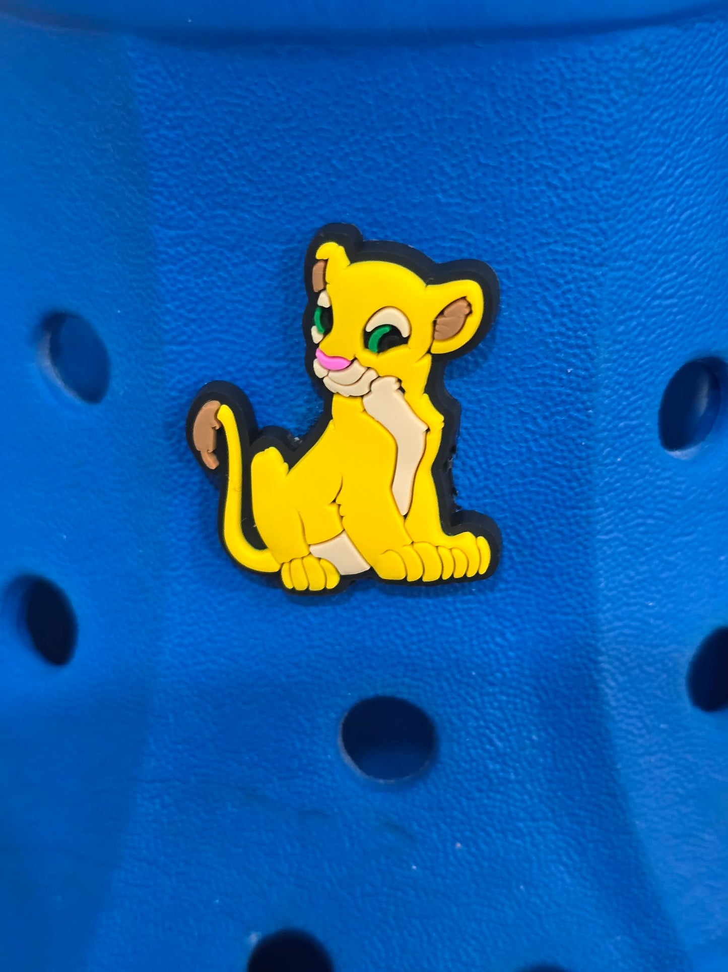 Lion King Themed Croc Charms