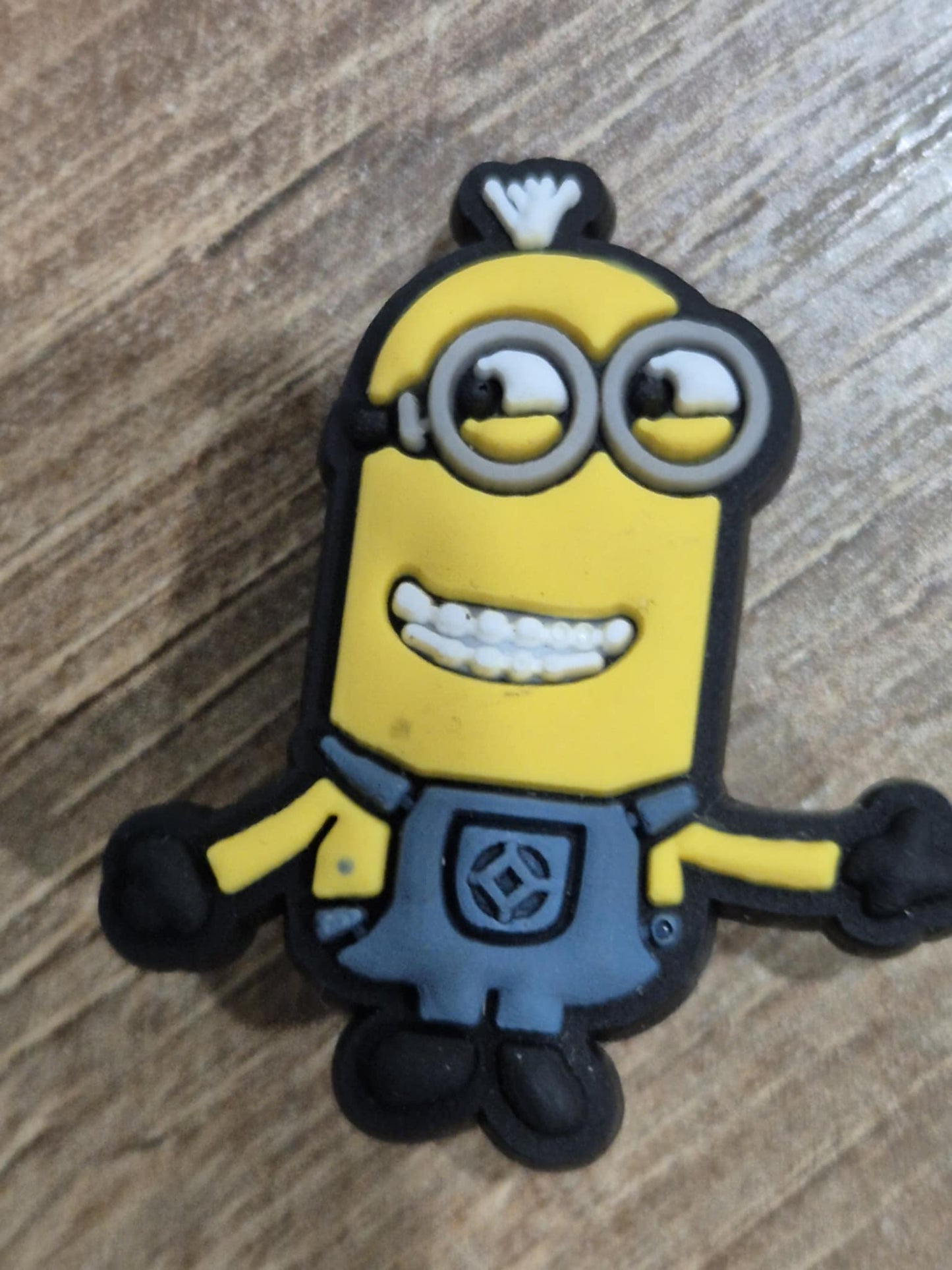 Minions Charms