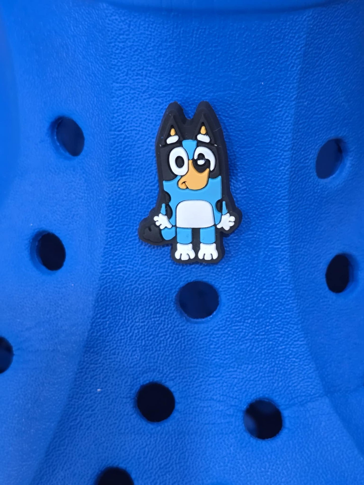 Bluey and Friends Charms