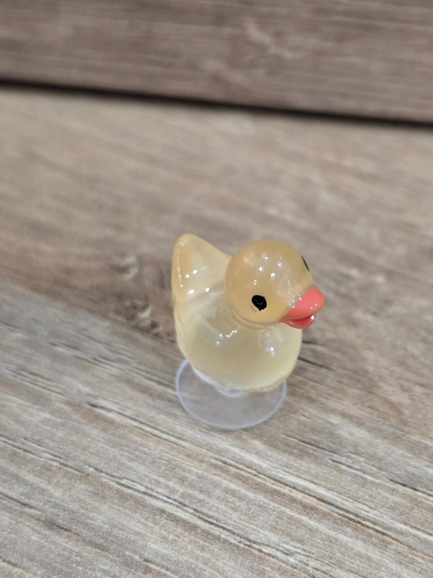 Rubber Duck Charms