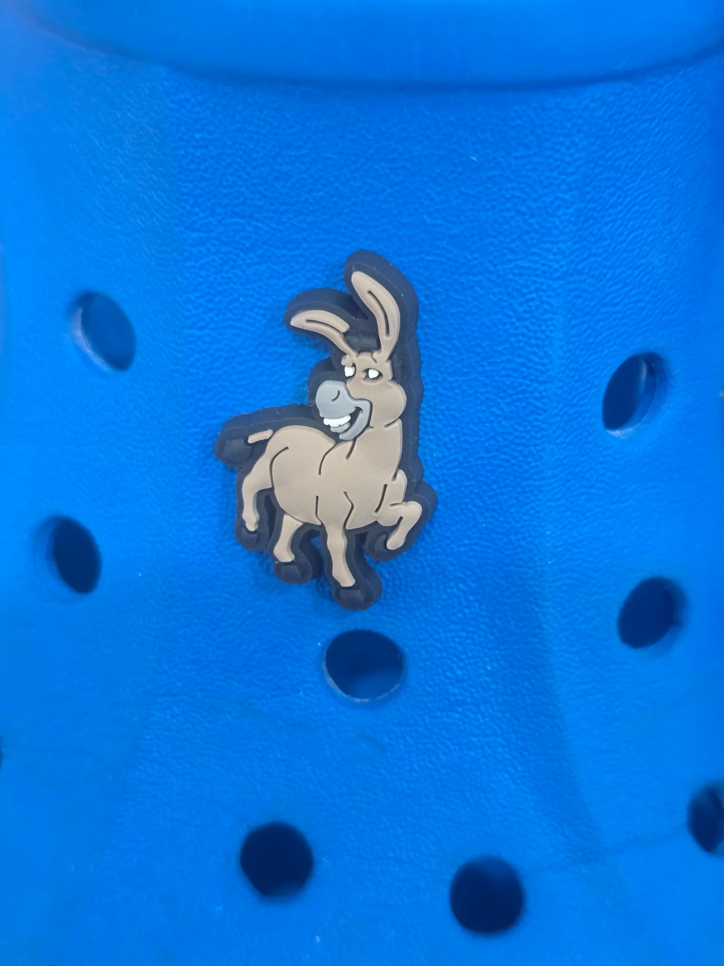 Shrek Themed Croc Charms