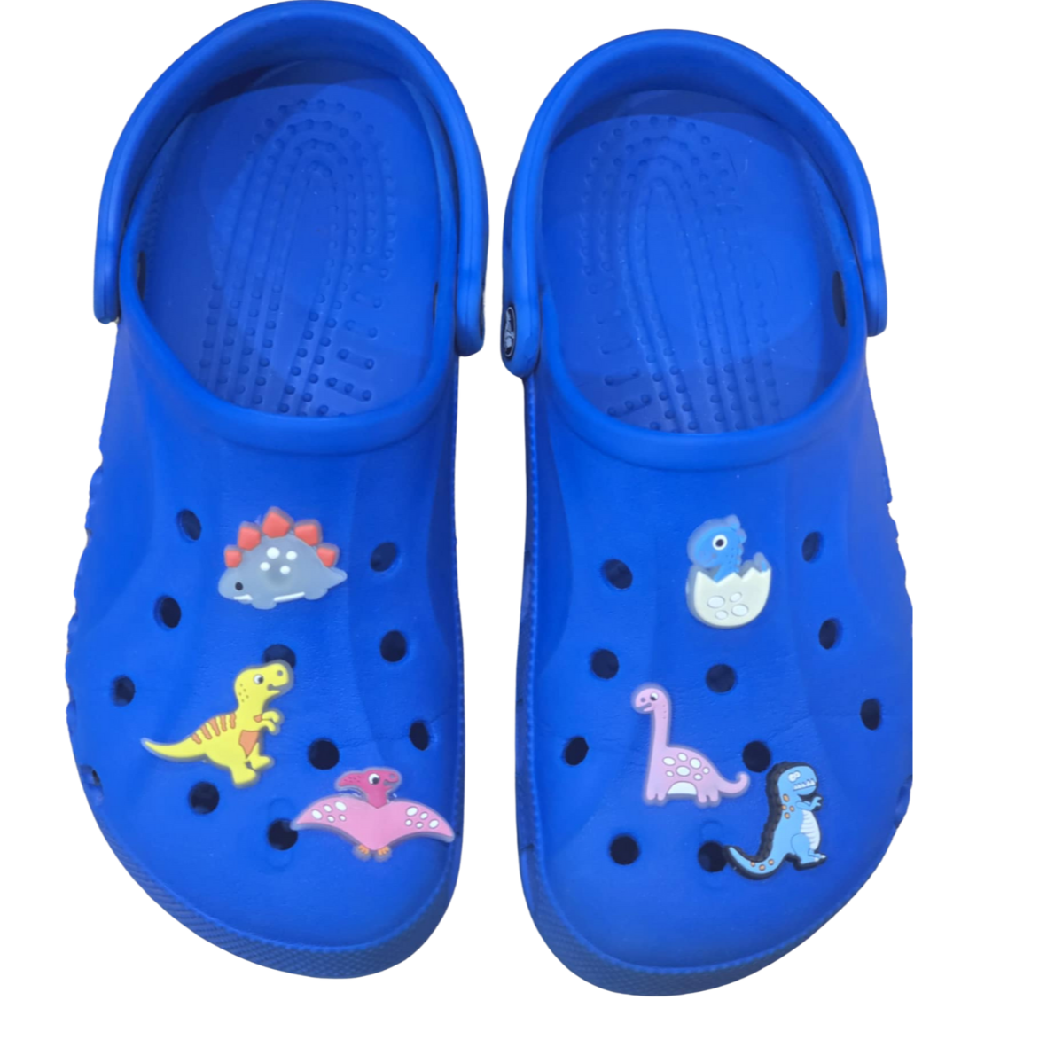 Dinosaurs Charms
