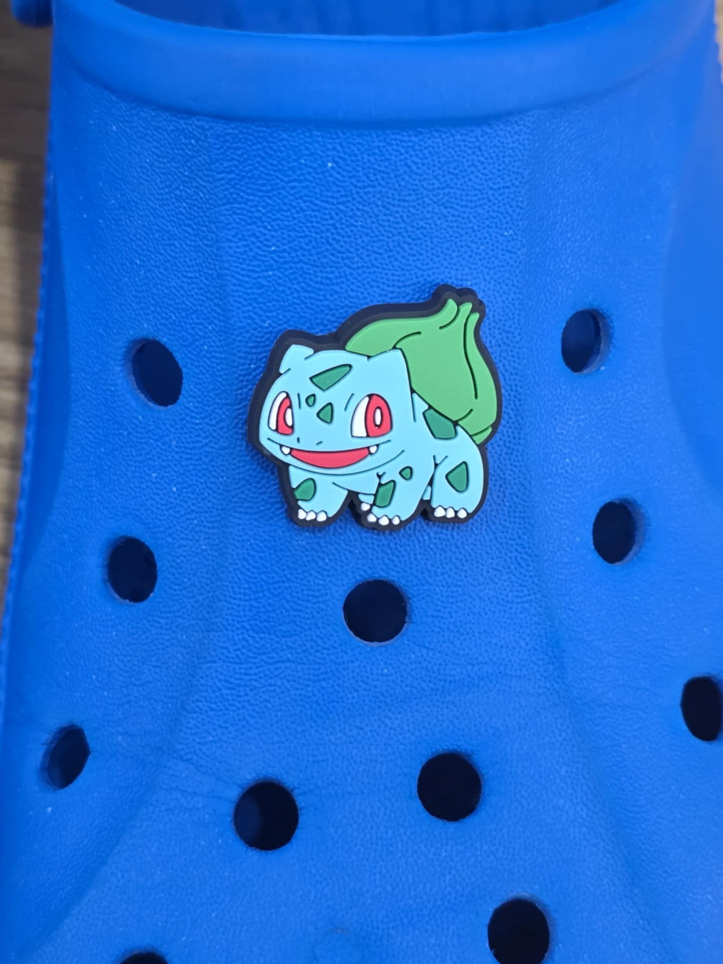 Pokémon Croc Charms