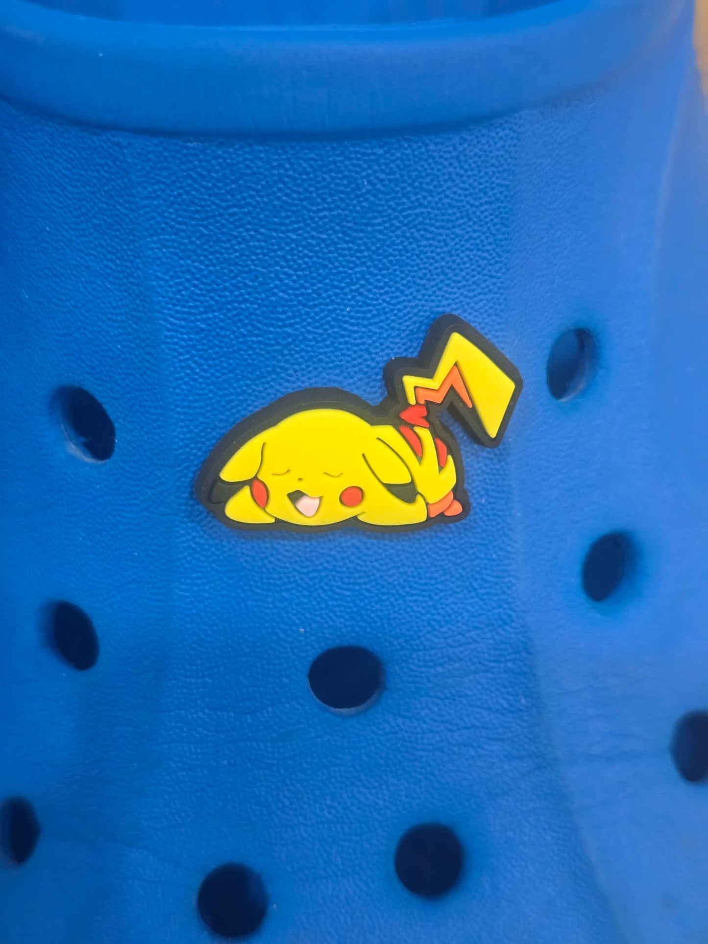 Pokémon Croc Charms