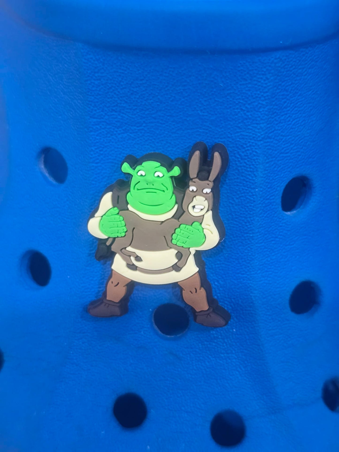 Shrek Themed Croc Charms