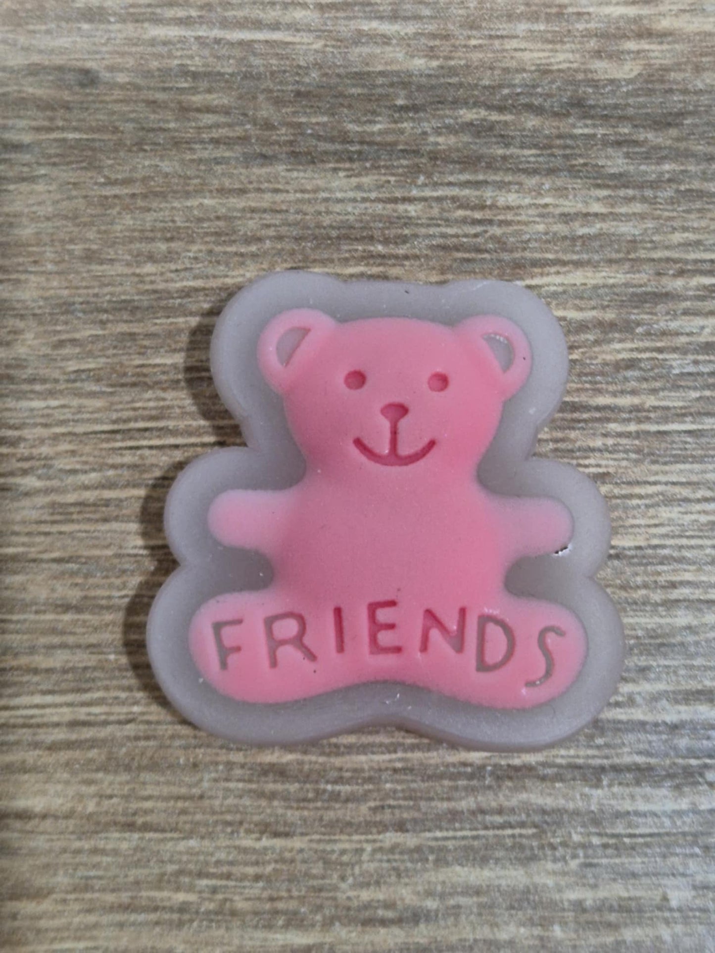 Friends Bear Charms