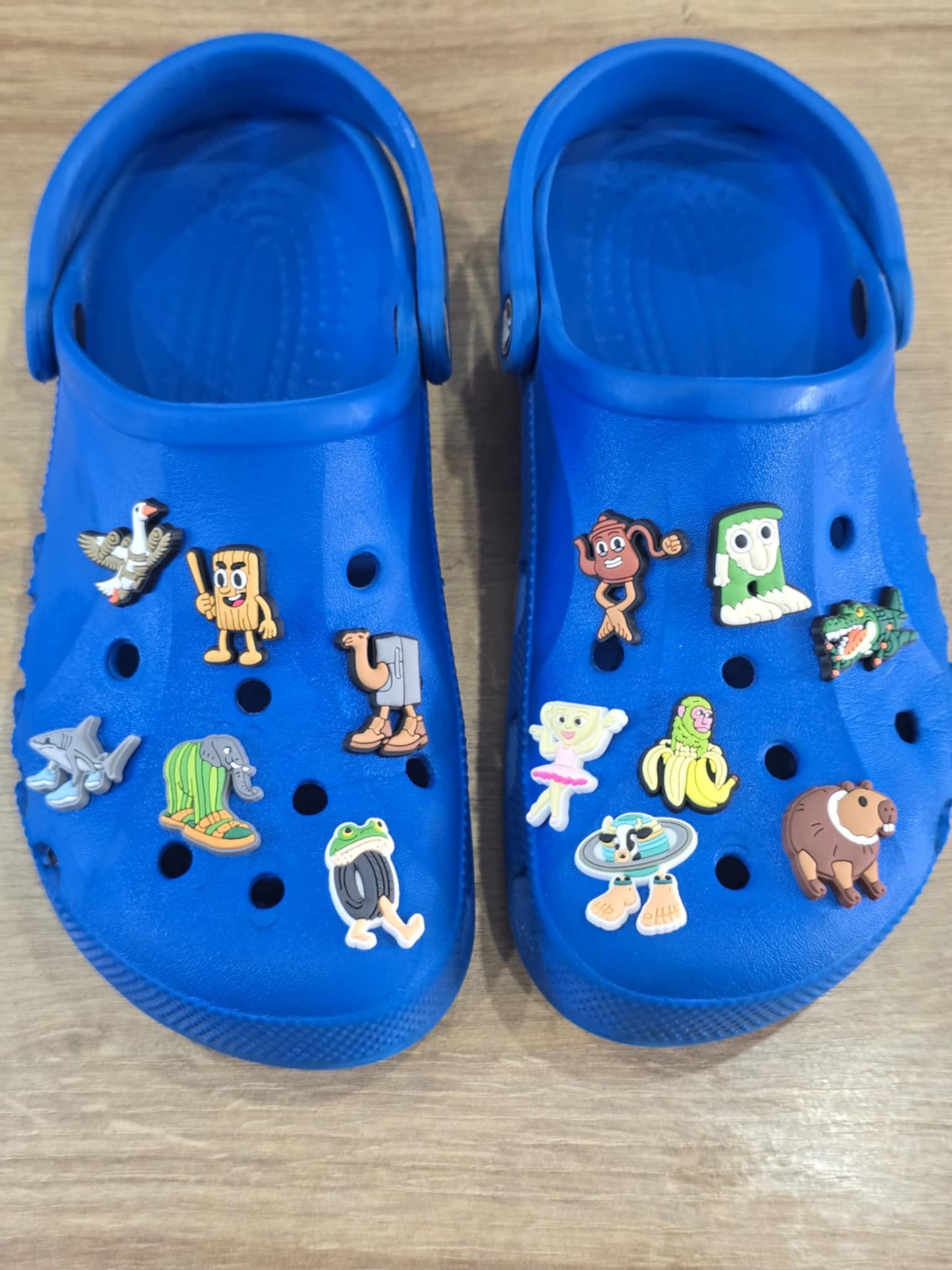 Italian Brainrot Croc Charms