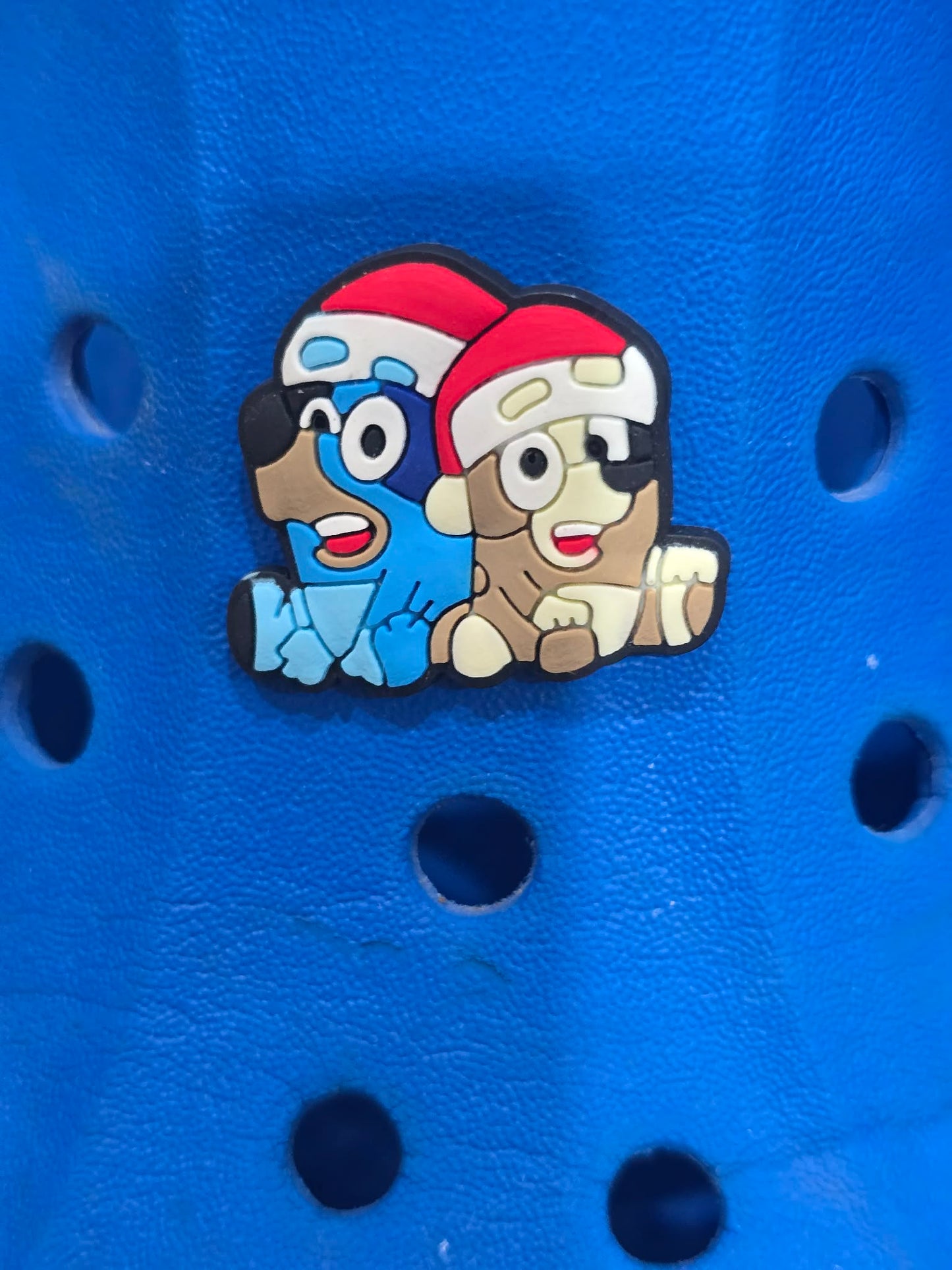 Bluey and Friends Charms