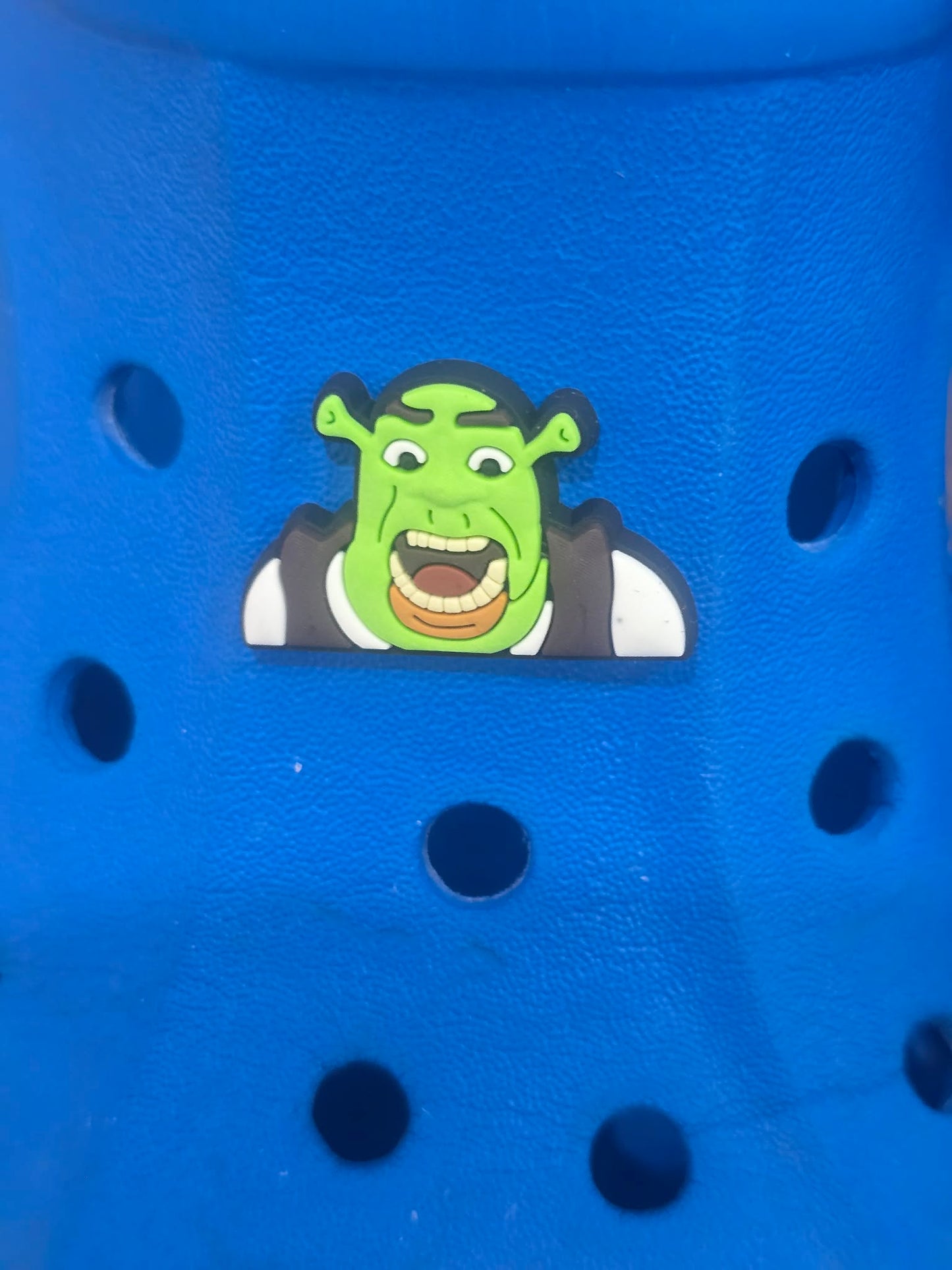 Shrek Themed Croc Charms