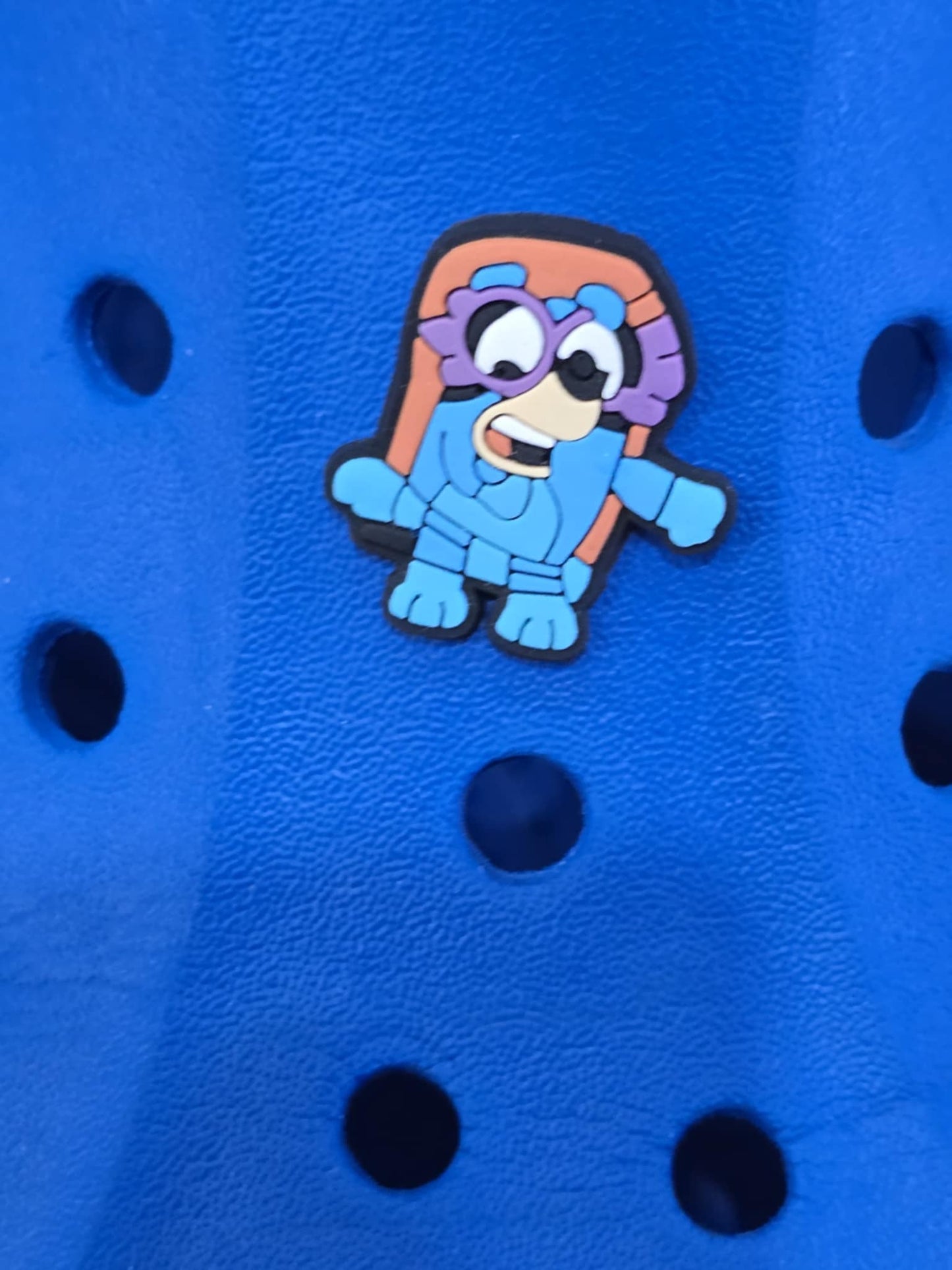 Bluey and Friends Charms