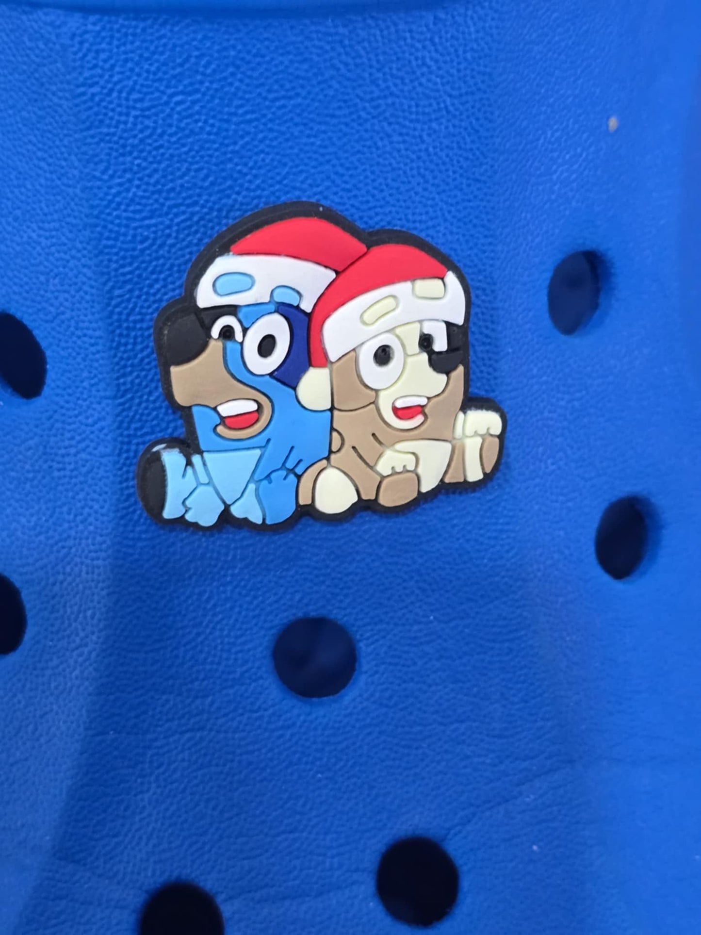 Bluey and Friends Charms