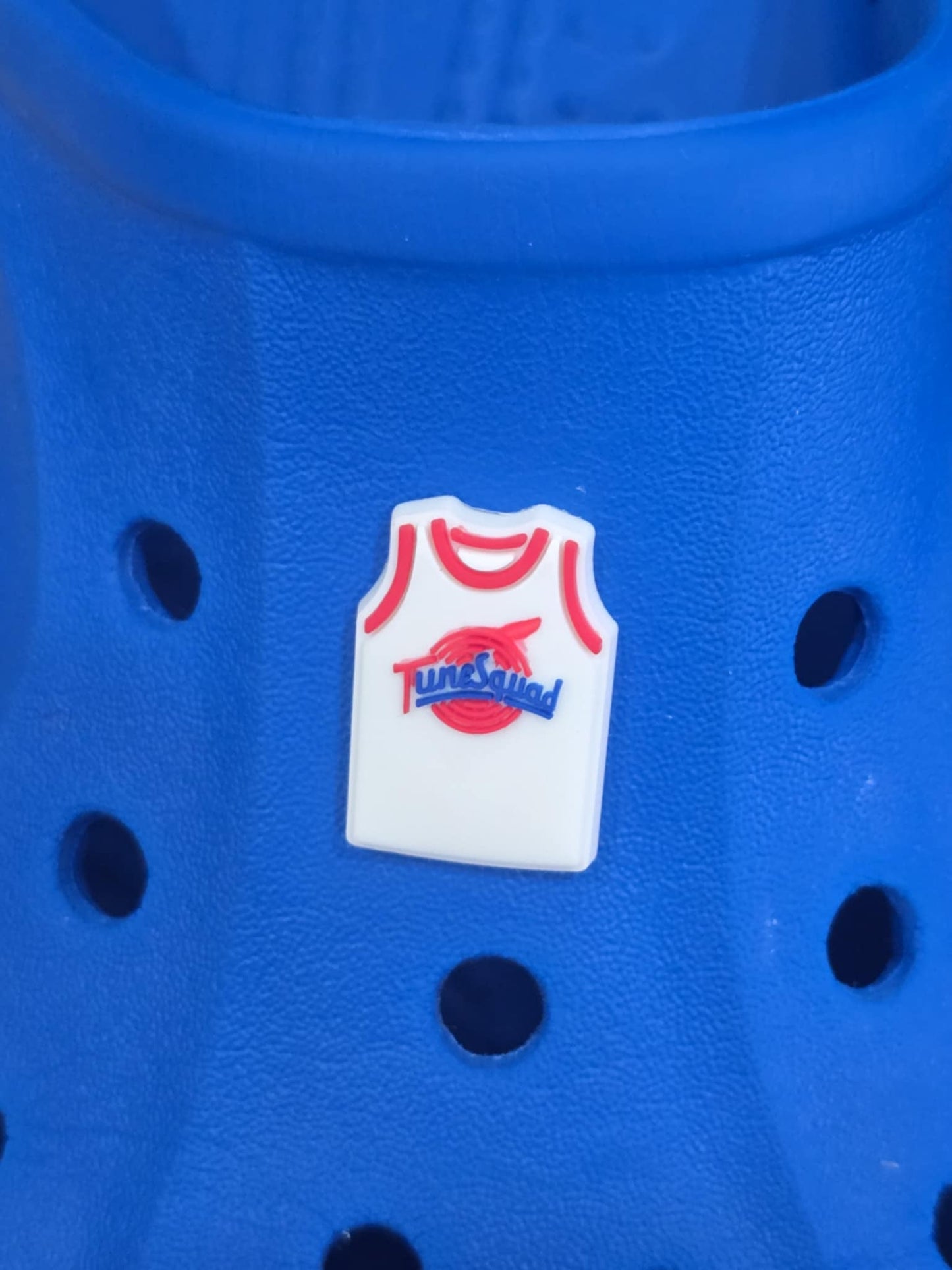 Space Jam Themed Croc Charms