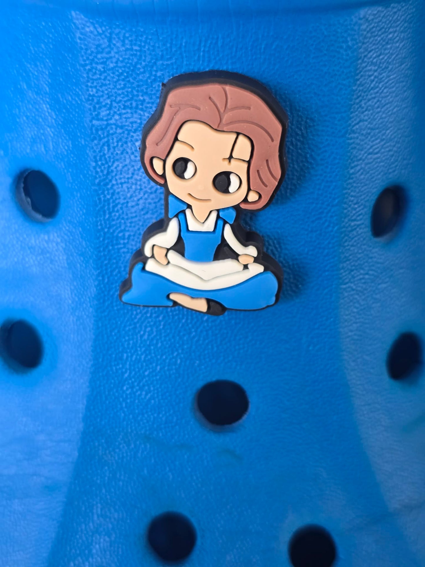 Disney Princesses/ Females from Disney Films Croc Charms