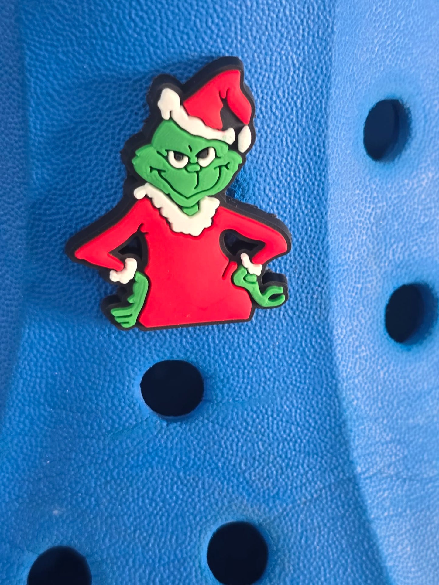Grinch Charms