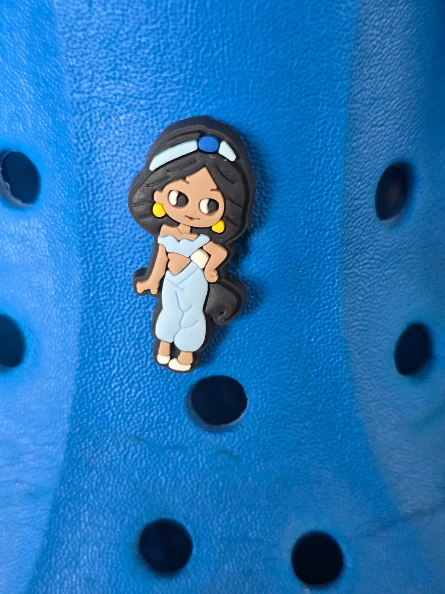 Disney Princesses/ Females from Disney Films Croc Charms