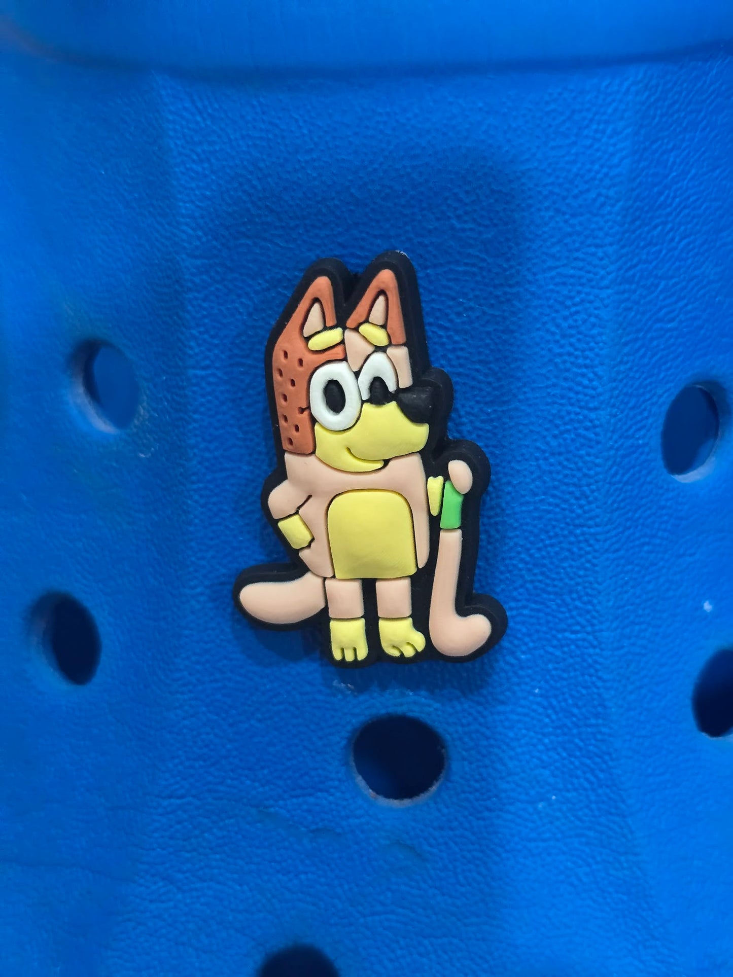 Bluey and Friends Charms