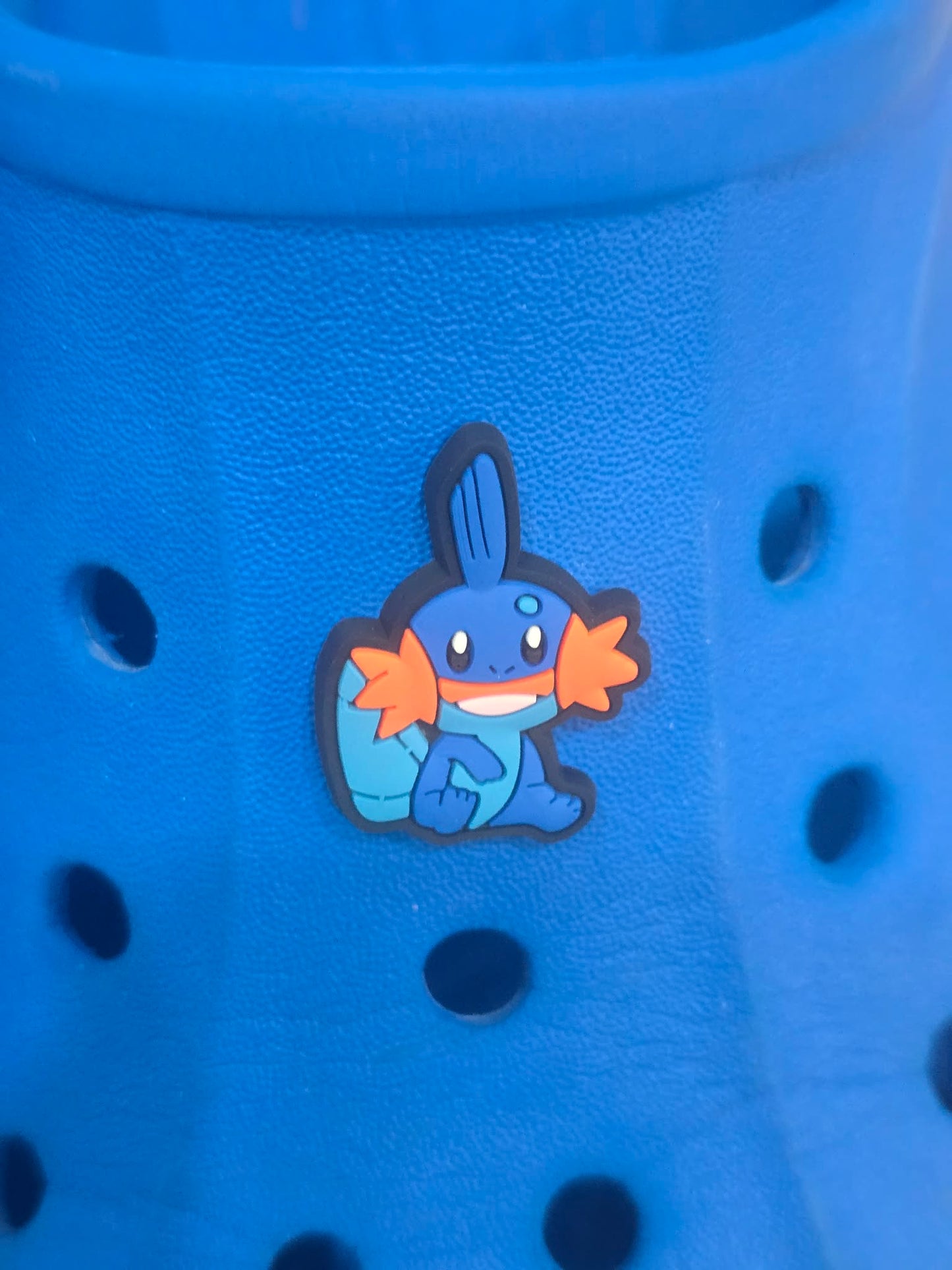 Pokémon Croc Charms