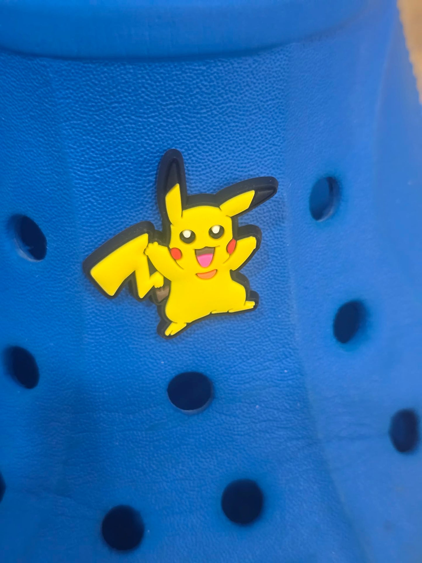 Pokémon Croc Charms