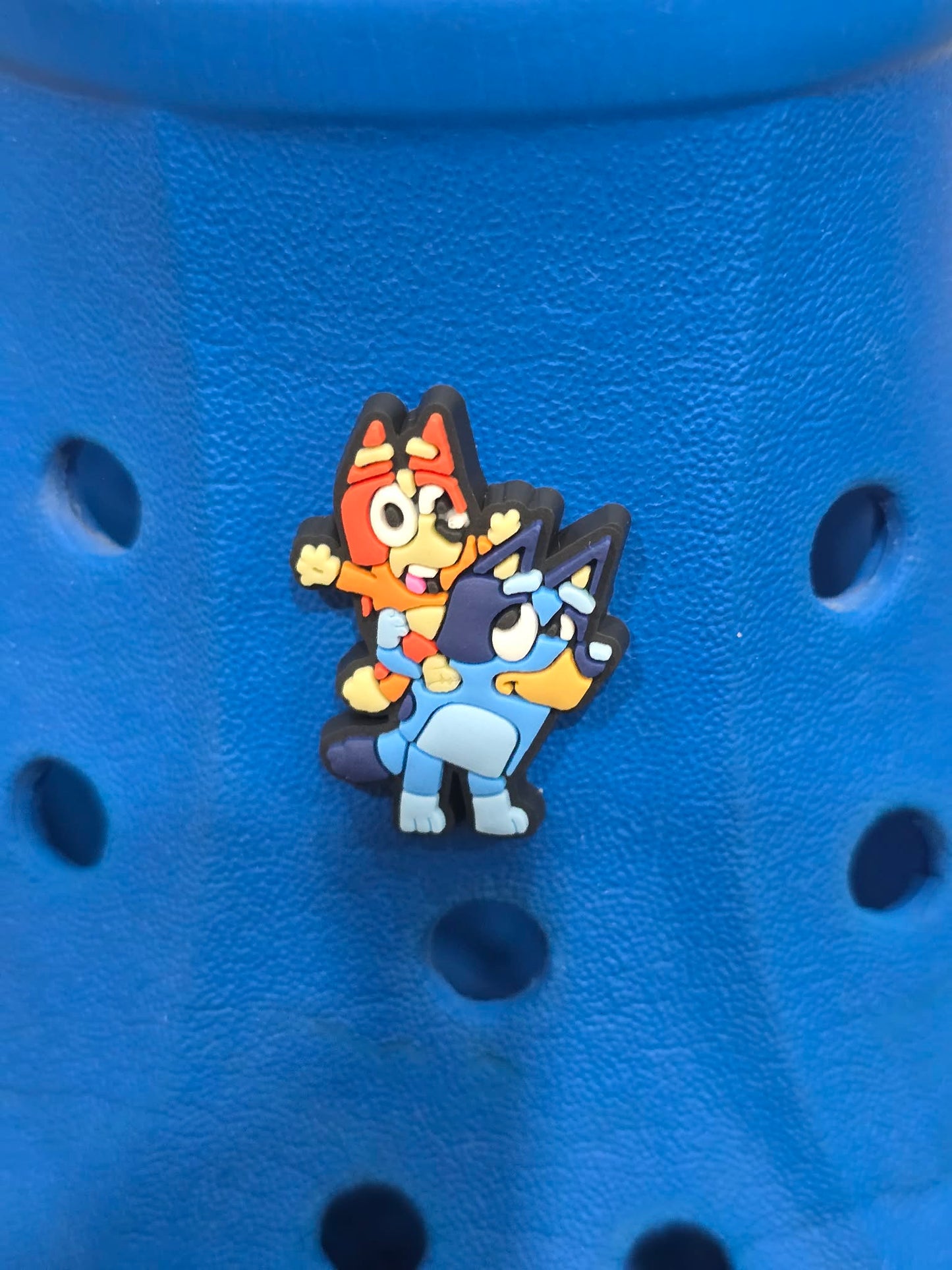 Bluey and Friends Charms
