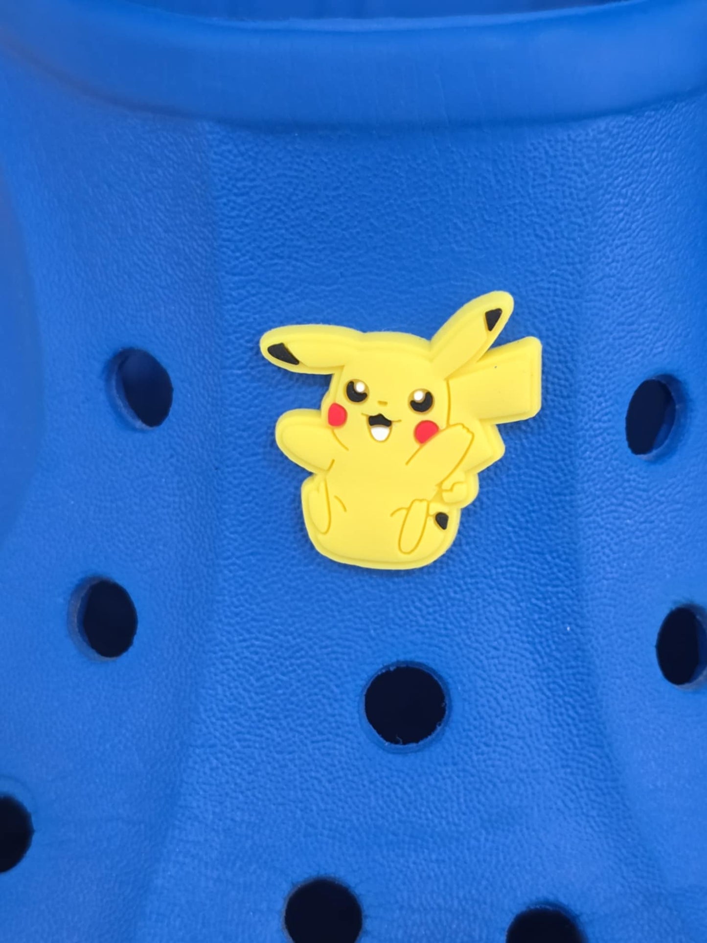 Pokémon Croc Charms