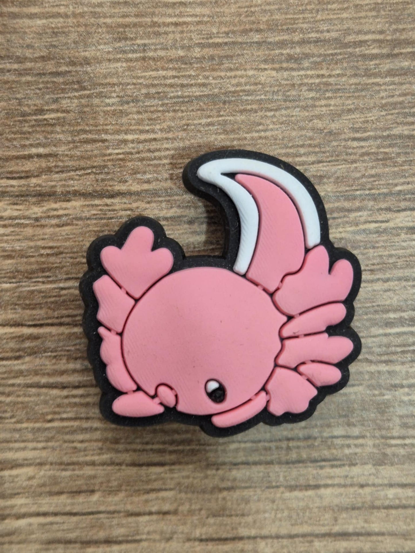 Axolotl Charms