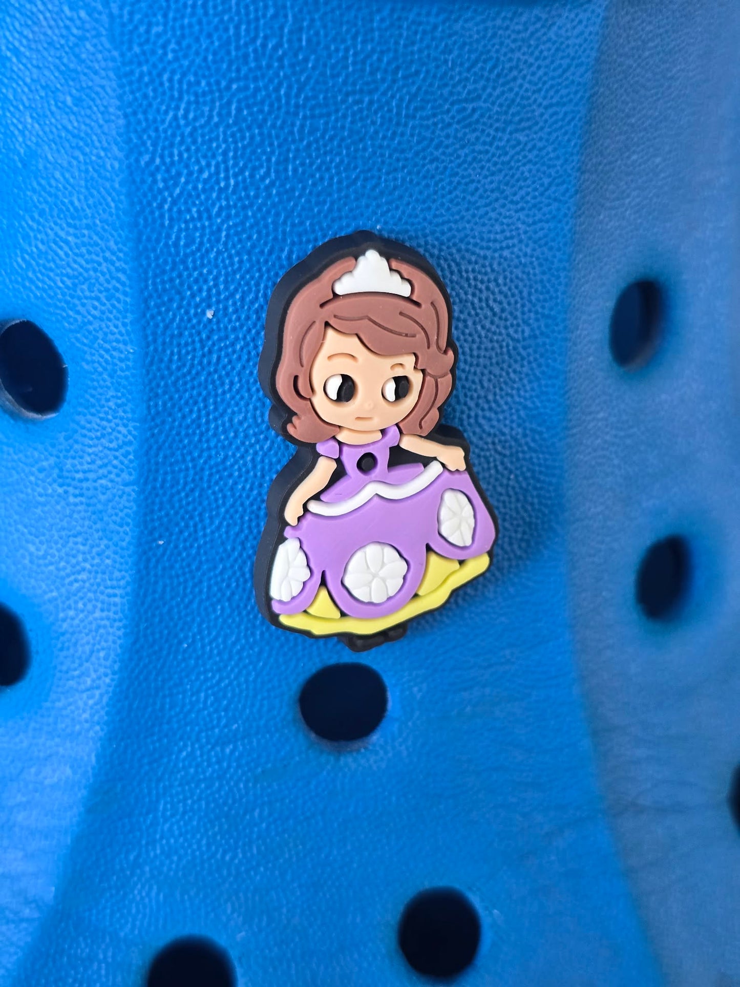 Disney Princesses/ Females from Disney Films Croc Charms