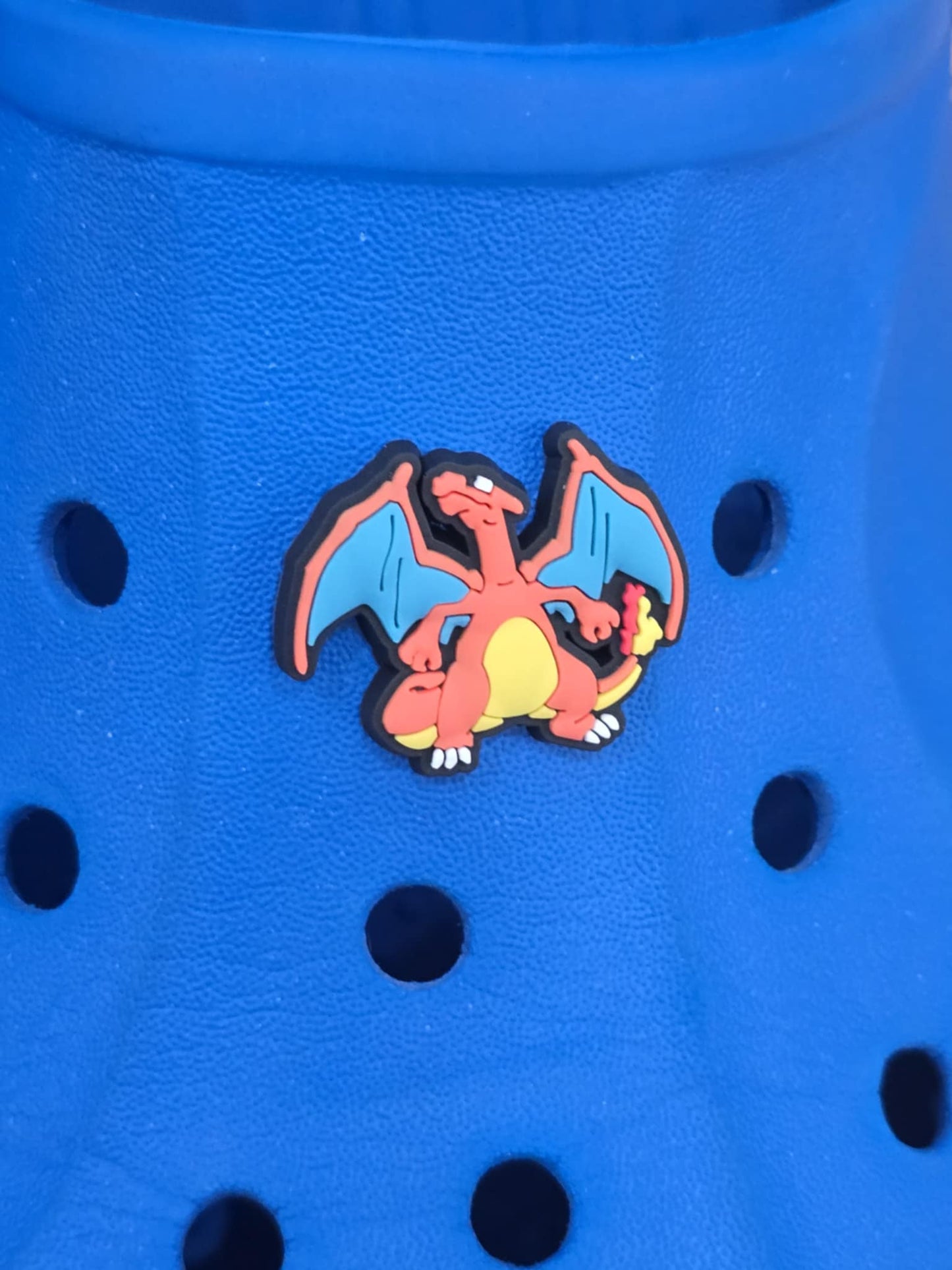 Pokémon Croc Charms