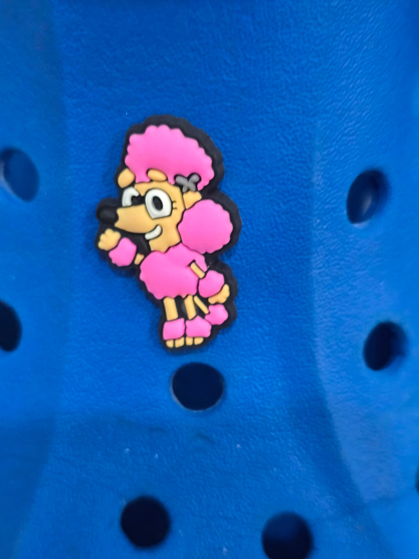 Bluey and Friends Charms