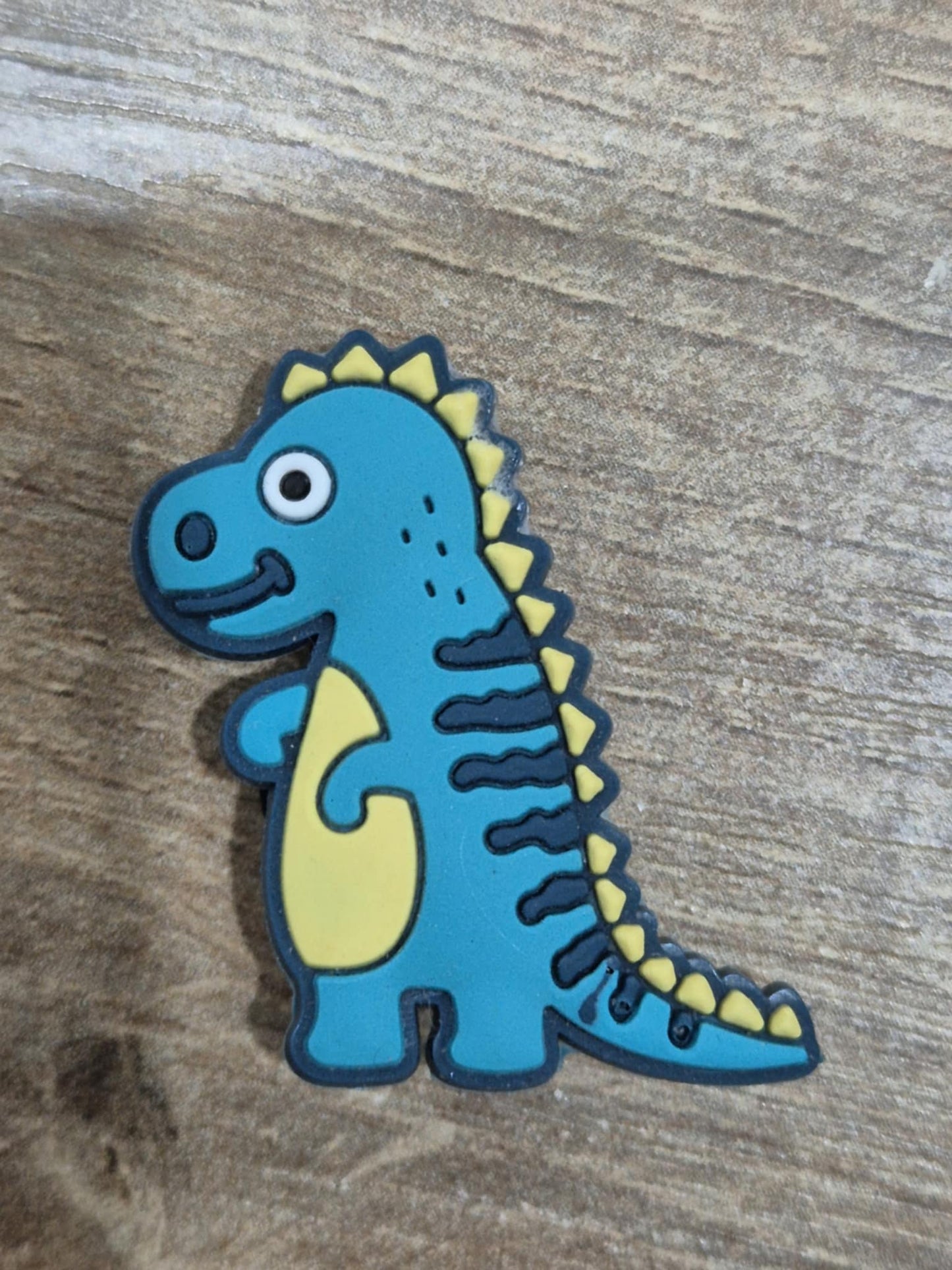 Dinosaurs Charms