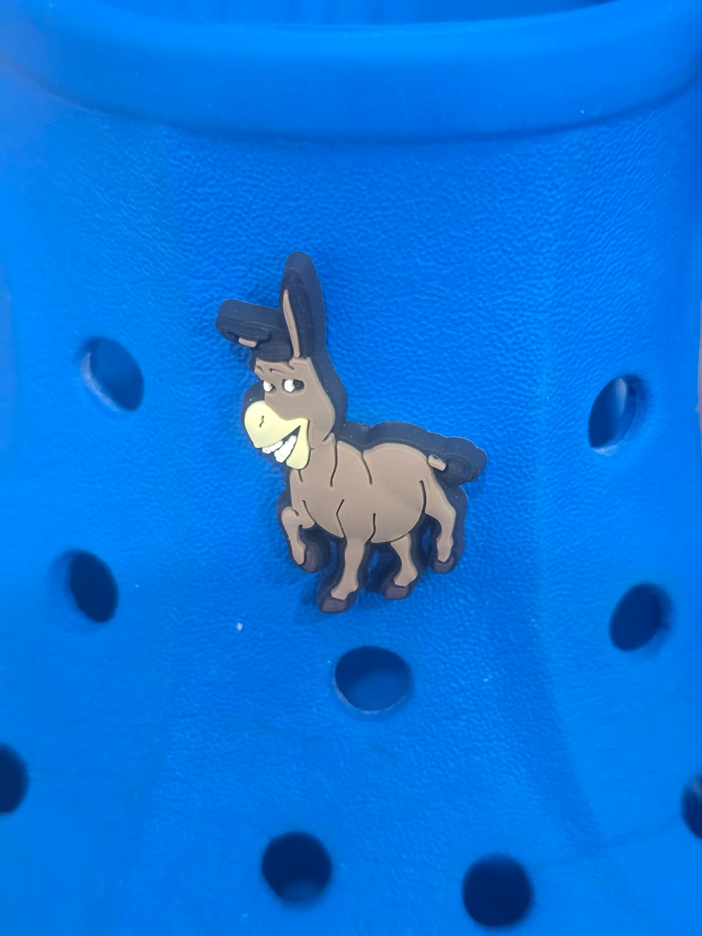 Shrek Themed Croc Charms