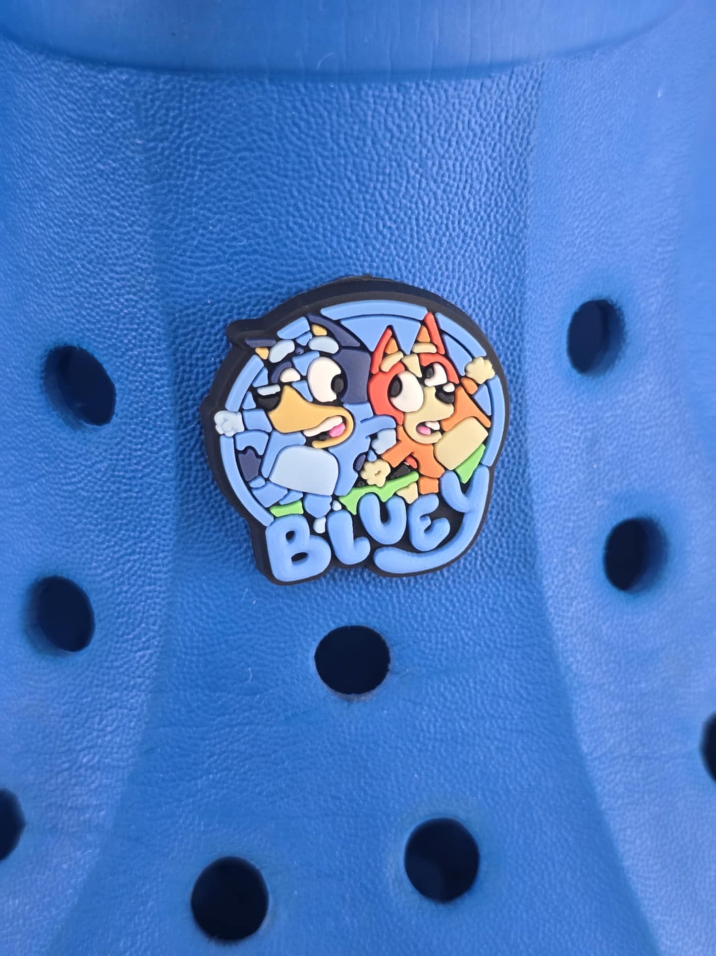 Bluey and Friends Charms