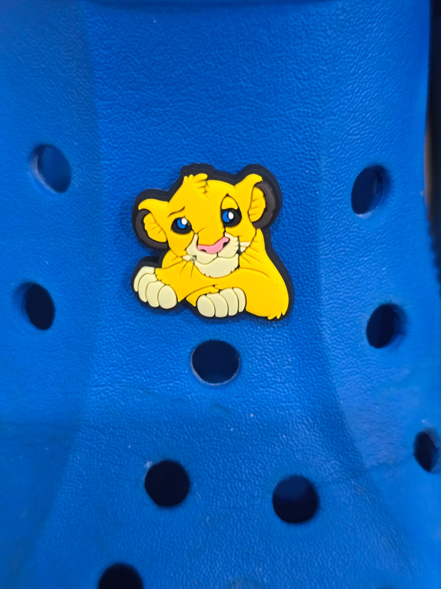 Lion King Themed Croc Charms